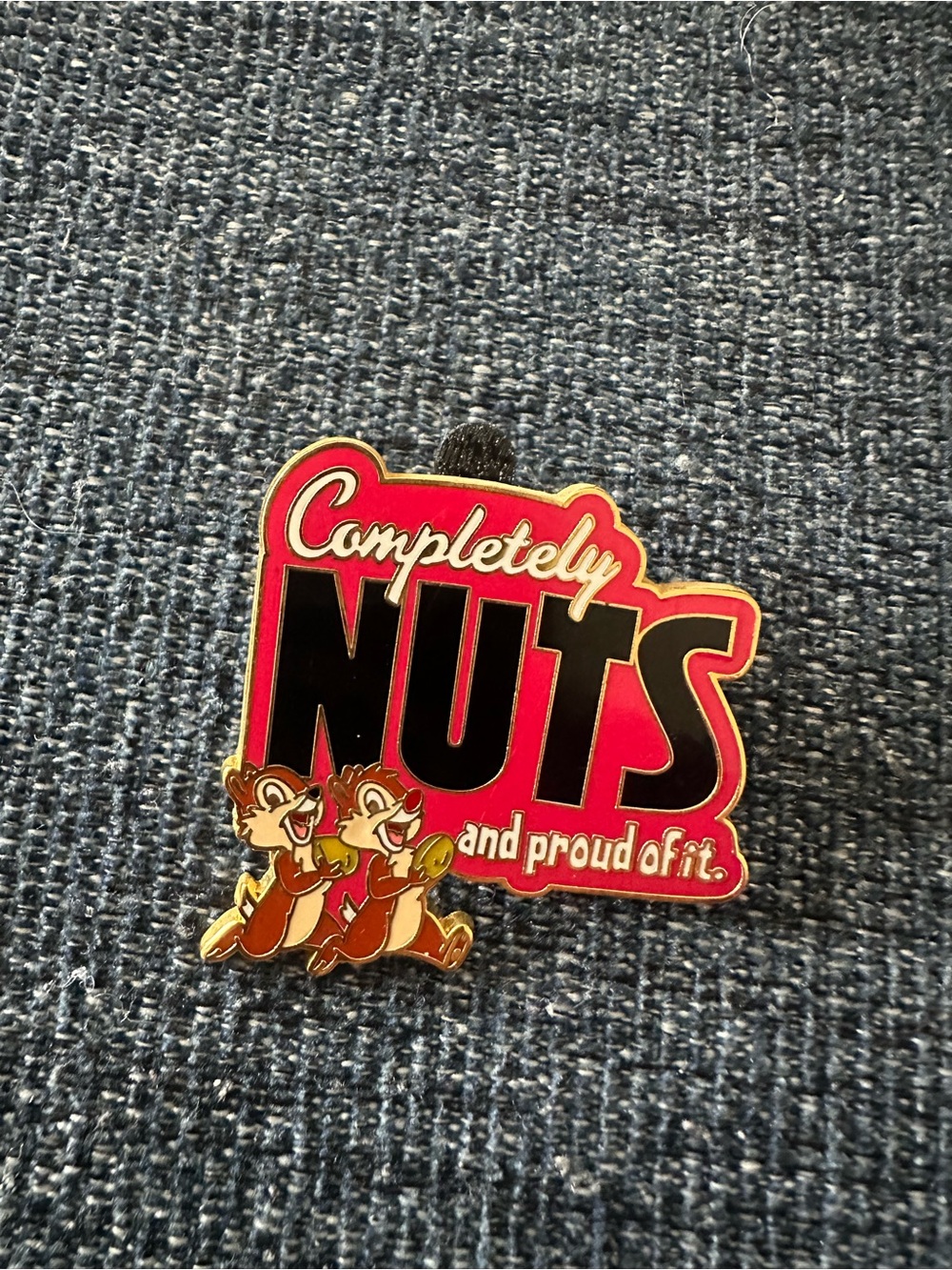 Walt Disney World Completely Nuts Chip 'n' Dale 2008 Pin - Pink & Black